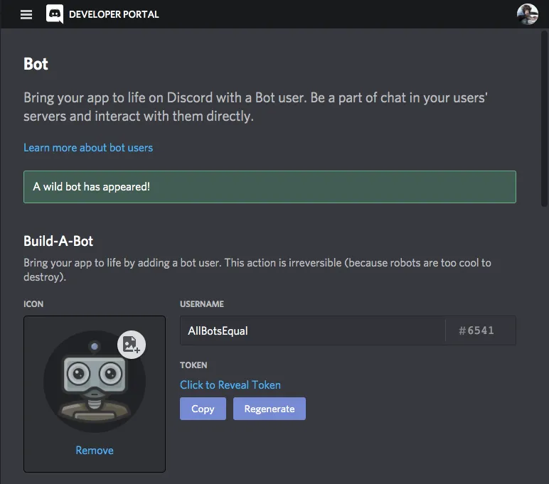 Discord Bot – Token und Berechtigungen