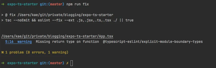 Terminal – npm run fix hat die meisten Fehler automatisch behoben