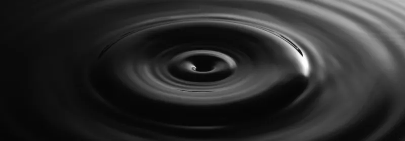 Backbone / Chaplin und React