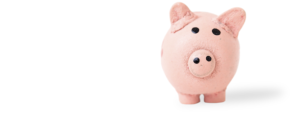 Kostenersparnis durch professionelle Schulung